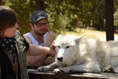 DSC_1662 (Large).JPG